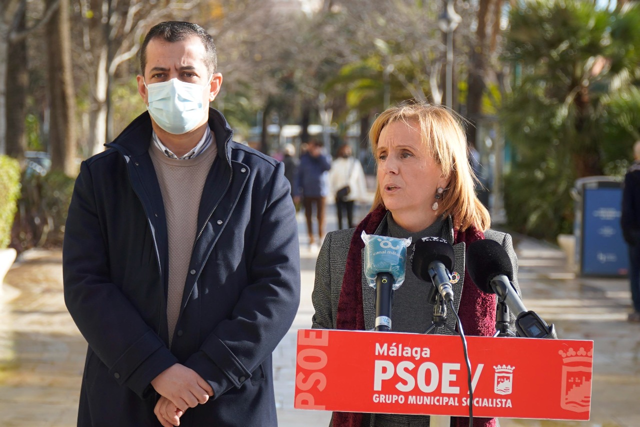 El PSOE pide al Ayuntamiento la renaturalización de los centros educativos “en vez de imponer más cemento y hormigón”