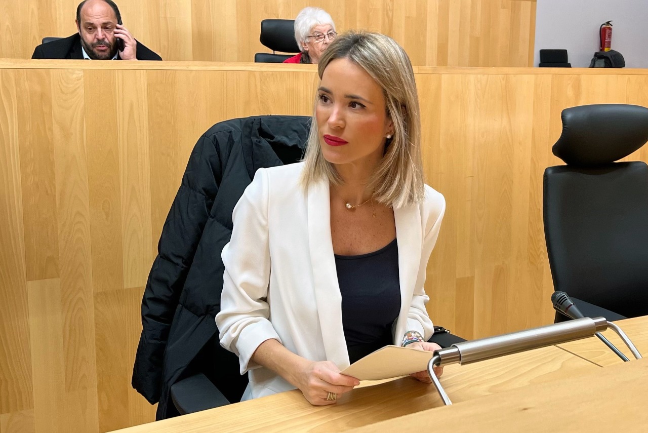 El PSOE insta a la Junta a retirar los techos de amianto de los colegios de la provincia