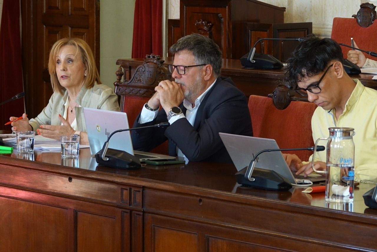 El PSOE lamenta “la dejadez” del PP en la gestión del arbolado urbano y en la contención de plagas de mosquitos