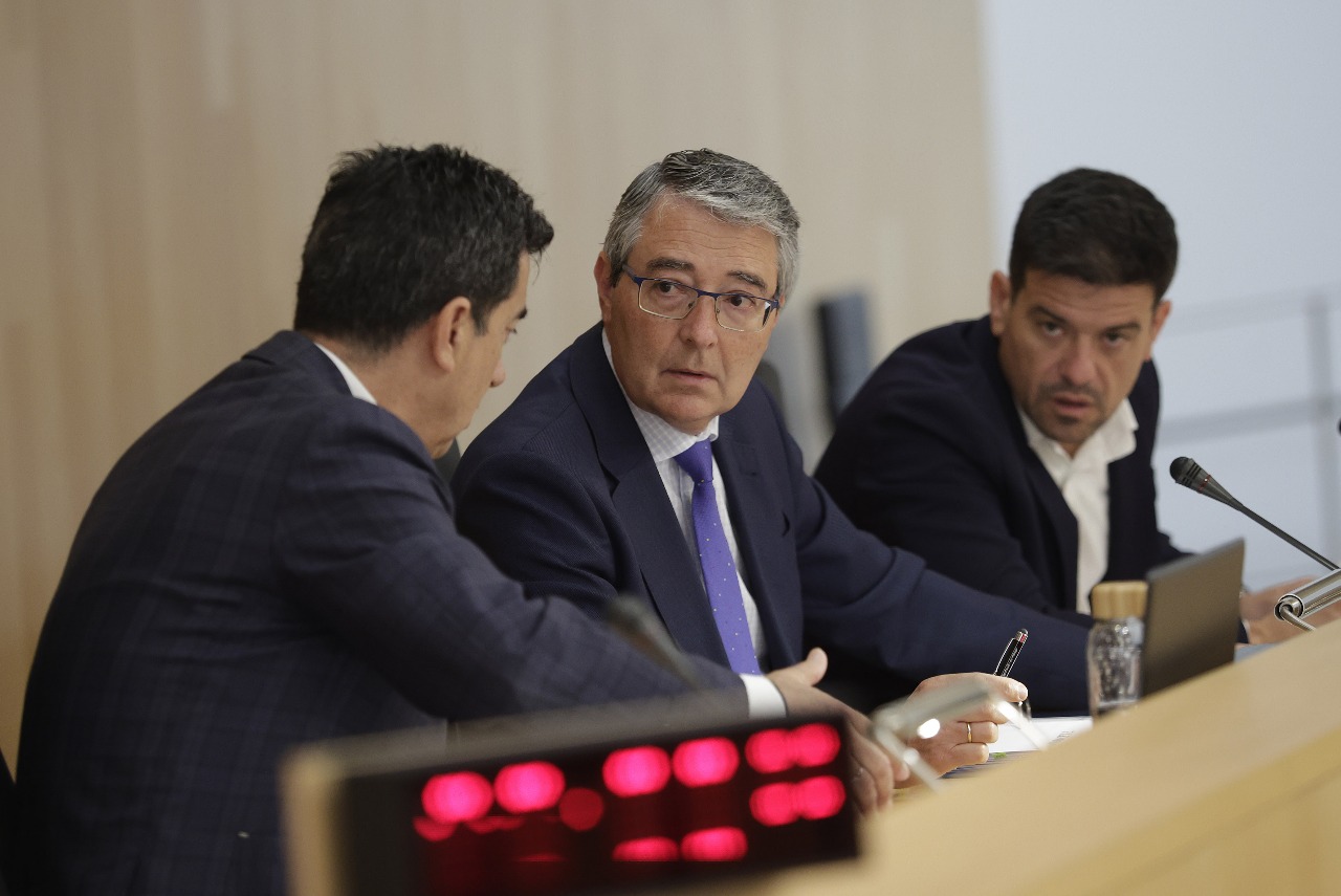 La Diputación, obligada a convocar el pleno extraordinario sobre sanidad solicitado por el PSOE ante la negativa de Salado