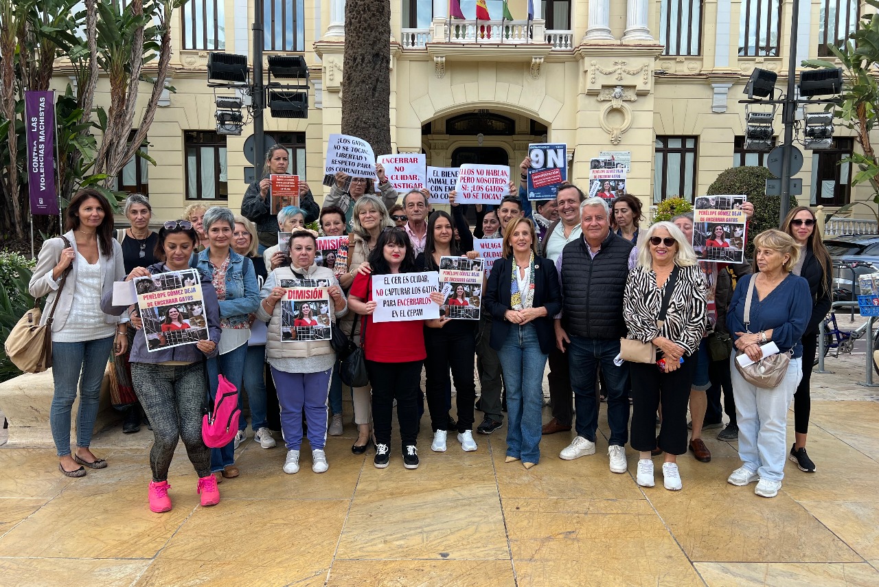 El PSOE exige el cumplimiento de la Ley de Bienestar Animal y el cese de Penélope Gómez por incumplir la normativa sobre gatos comunitarios