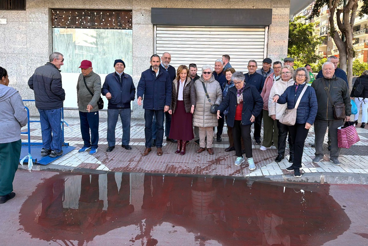 El PSOE denuncia la "nefasta gesti&oacute;n" del drenaje en los nuevos carriles bici y exige al Ayuntamiento soluciones inmediatas para evitar encharcamientos