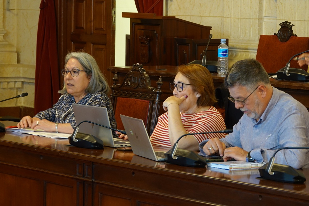 El PSOE señala al PP en Málaga como “colaborador necesario” para el cierre de más de 8.000 comercios locales en cinco años
