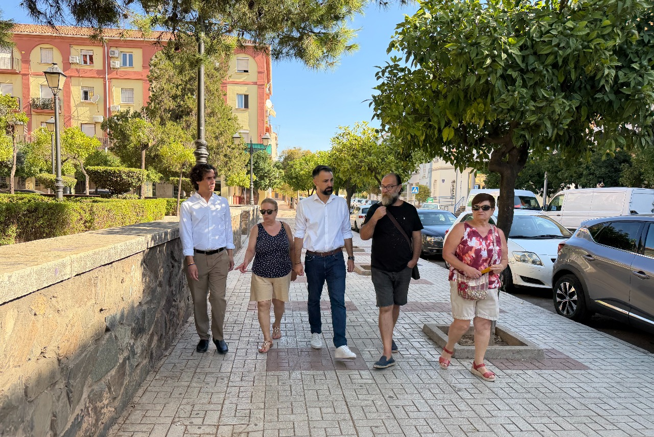 El PSOE exige al Ayuntamiento un estudio geotécnico del suelo en Carranque para acabar con las grietas en los edificios