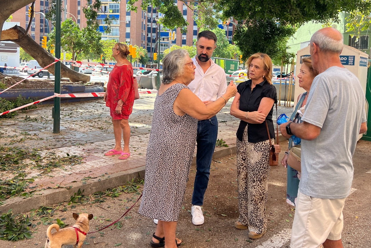 El PSOE tacha de desastre la gesti&oacute;n de medio ambiente sobre el arbolado de gran tama&ntilde;o