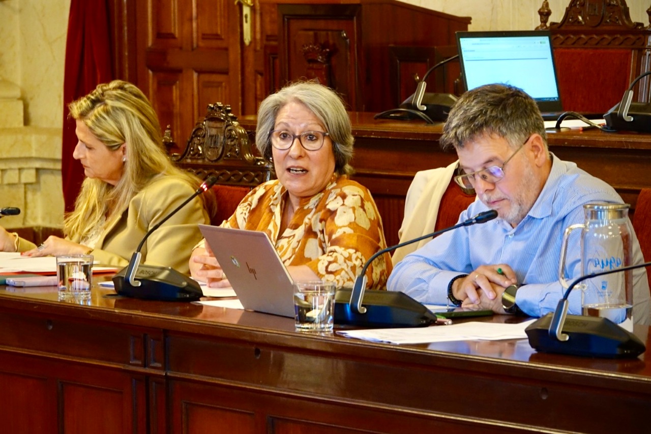 El PSOE critica el abandono del Ayuntamiento a los comerciantes de Lagunillas &ldquo;en n&uacute;meros rojos&rdquo; por la mala gesti&oacute;n de las obras municipales de peatonalizaci&oacute;n